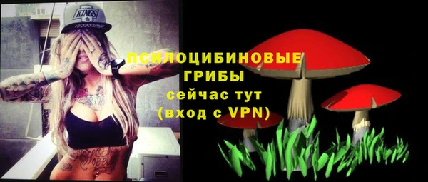эйфоретик Алексеевка