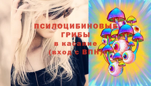 МДПВ Армянск