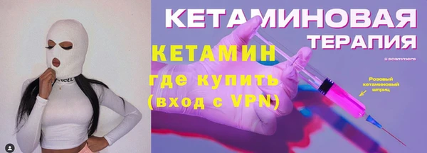 гидра Гусиноозёрск