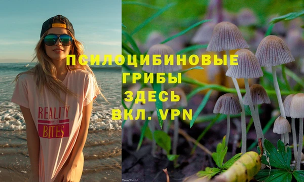 МДПВ Армянск