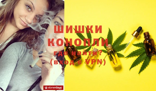 гидра Гусиноозёрск